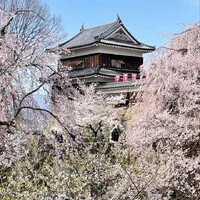 画像361