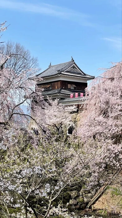 画像361